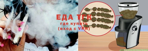 стаф Осинники