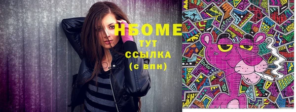 стаф Осинники