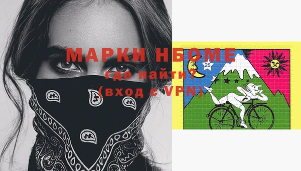 стаф Осинники