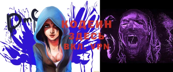 стаф Осинники