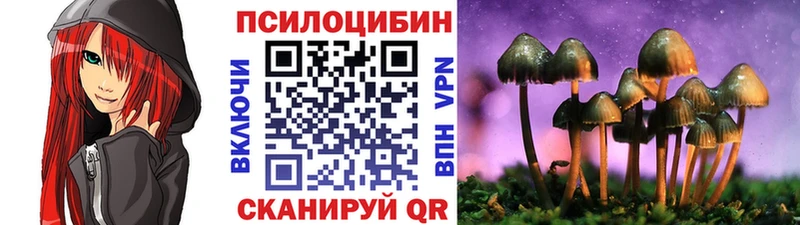 Купить  Саранск  Псилоцибиновые грибы Psilocybe 